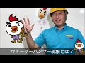 【水道プロが教える本当のお話。】ウォーターハンマー現象とは？？対策は？？　あなた家でドーンって言ってませんか？