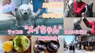 【ラッコのメイちゃんに会いに行く三重県の旅】鳥羽水族館\u0026おかげ横丁 #旅行 #travel #vlog #観光 #ラッコ #Sea otter #鳥羽水族館 #おかげ横丁 #めいちゃん #メイちゃん