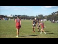 counties manukau touch u13 boys junior ips day 1