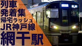 【終着駅ならではの面白さ！当駅止めや8両新快速が発着！ 末期色が大混雑！】JR神戸線 網干駅 帰宅・夕ラッシュ 列車発着集 【Japan Rail Commuting Rush】