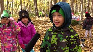 Forest Kindergarten