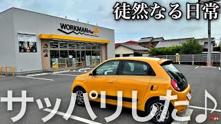 徒然なる日常　ワークマン＋に買い物に行くだけ   Renault TWINGO S