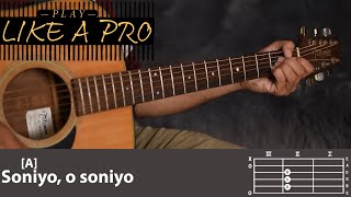 SONIYO - RAAZ 2 | Sonu Nigam | Guitar Tutorial | Guitar Chords Lesson