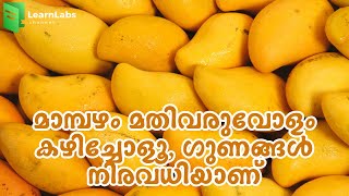 മാമ്പഴം മതിവരുവോളം കഴിച്ചോളൂ, ഗുണങ്ങൾ നിരവധിയാണ് | Health Benefits Of Mango | Learnlabs Malayalam