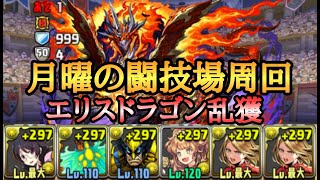 【パズドラ】月曜の闘技場を羽川×マーベルで周回【エリスドラゴン】