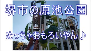 堺市のおススメの公園　原池公園で親子で遊ぶ！