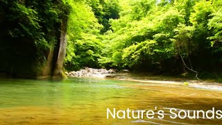 【Nature’s sounds】阿武隈川源流　福島県西郷村　Source of the Abukuma River