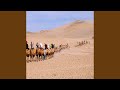 The Silk Road