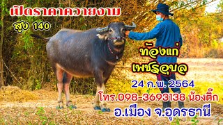 เปิดราคาควายงาม สูง 140 ท้องเพชรอุบล บ.โนนสวรรค์ อ.เมือง จ.อุดรธานี โทร.098-3693138 น้องติ๊ก