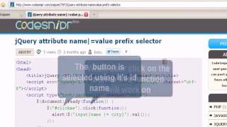 JQUERY Tutorial : jQuery attribute name=value prefix selector