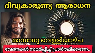 Adoration/ August 2 / ദിവ്യകാരുണ്യ ആരാധന  /  #adoration #fr #prayer #loneliness #alone #pain #arad