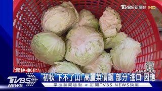 「一顆高麗菜價錢可吃牛排」 便當店換菜因應｜TVBS新聞 @TVBSNEWS02