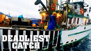 Unbelievable Catch with Help from Dolphins | Deadliest Catch | Discovery