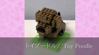 プチブロック「トイプードル」// PETIT BLOCK 「Toy Poodle」 #Shorts