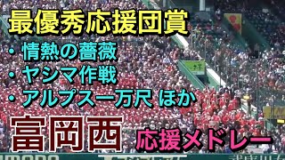 最優秀応援団賞！富岡西の応援＆攻撃シーン【２０１９センバツ】