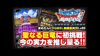 DQMSL 無課金 | 黄金の巨竜ついに耐久パーティで攻略!! | LV.067