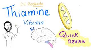 Thiamine (Vitamin B1) Quick Review