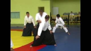 Basic movements. Aikido lessons of Fujimoto sensei. CRAG, 2007 1(3)