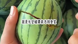 抖音或今日头条首页搜索【黑岩故事会】输入口令【504796】看后续