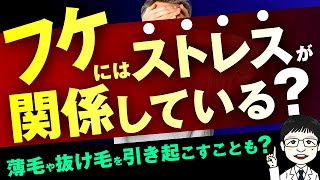 【医師が解説】フケにはストレスが関係している？薄毛や抜け毛を引き起こすことも？