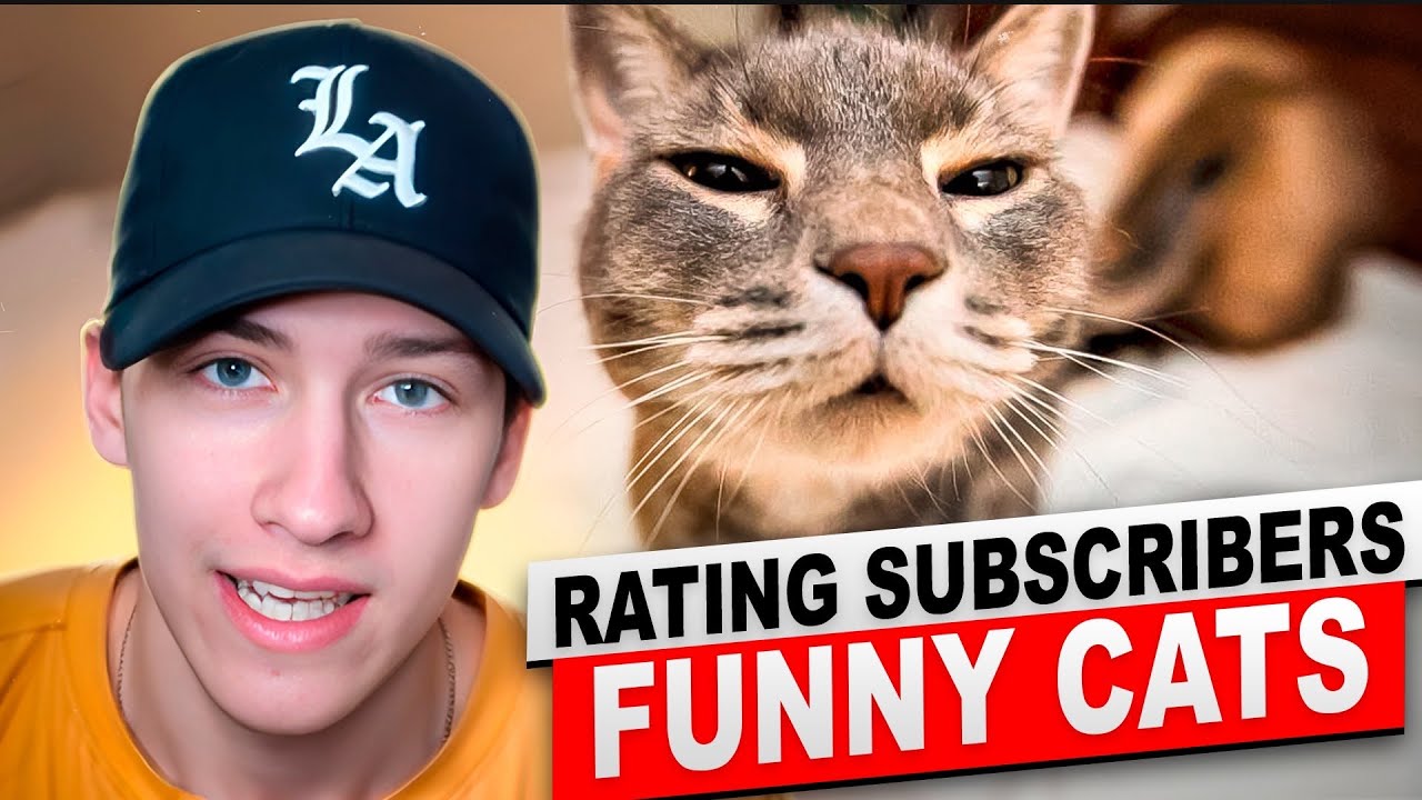 Rating Your Cats Youtube
