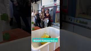 Explosive Elephant S Toothpaste Experiment Chemistry In Action