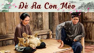 ĐẺ RA CON MÈO | Phim Truyện Cổ Tích Hay Nhất 2024 | Cổ Tích Hay Nhất 2024 | Cổ Tích Việt Nam