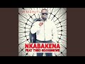 Nkabakena (feat. Theo Kgosinkwe)