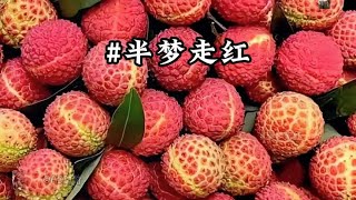 半 梦 走 红 #小说 #小说推荐 #宝藏小说 #文荒推荐 #完结文