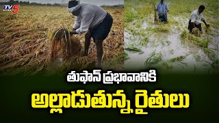 అల్లాడుతున్న రైతులు  Farmers Huge Effect Over Floods At Nellore District | Fengal Toofan | TV5 News