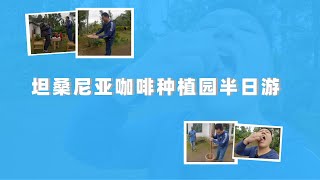 坦桑尼亚咖啡种植园深度体验｜咖啡是如何得到的？｜坦桑尼亚如何种植咖啡？