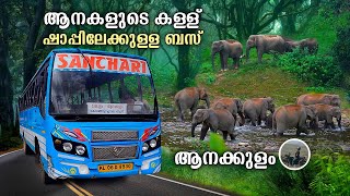 Anakkulam | ആനകളുടെ കള്ള്ഷാപ്പ് | Anakkulam BusTrip |Elephant view point | Idukki | Mankulam |free20