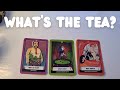 WHAT'S THE TEA? PICK A CARD TAROT READING