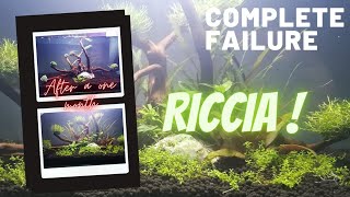 riccia moss total failure