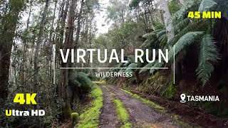 Virtual Run Wilderness Trail 4K - Virtual Running Treadmill Workout - Virtual Scenery - Tasmania