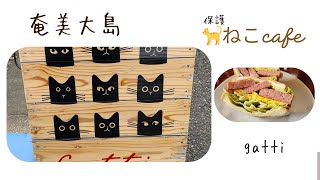 奄美の猫cafeのおススメ　ふんわりオムレツとランチョンミートの🥪サンド♬