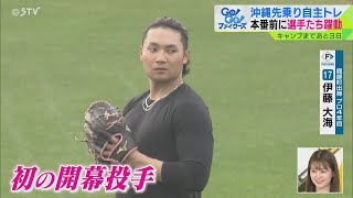 沖縄先乗り自主トレ　本番前に選手たちが躍動　ファイターズ