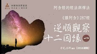 【阿含經的經法與禪法】《雜阿含》287經：逆順觀察十二因緣（一）【字幕版】__淨光法師開示