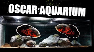 The ultimate oscar fish aquarium!