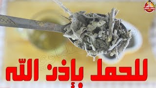 الطريقة السليمة لاستخدام المريمية للحمل والإنجاب لكل من يعاني من تأخر الحمل لأعوام