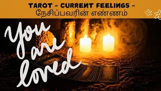 TAROT - CURRENT FEELINGS - நேசிப்பவரின் எண்ணங்களில் காதலின் எதிர்காலம் பற்றி நினைப்பது என்ன? #tamil