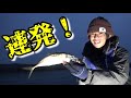 瀬戸内海　春の良型アジング！魚食性強い春アジには〇〇系のjhで連発！@釣りに行こうか