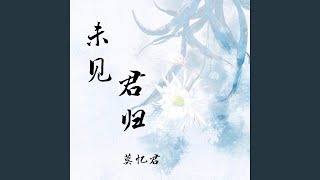 未见君归 (伴奏)