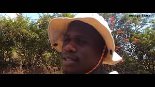 Ngongole EPISODE 3   SHINGO SKITS