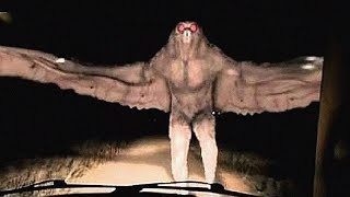 20 Mysterious Creatures Caught On Camera
