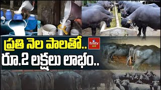 LIVE:ప్రతి నెల పాలతో..రూ.2 లక్షలు లాభం.. | hmtv Agri