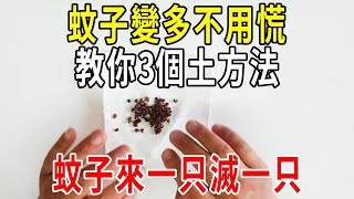 蚊子變多不用慌，教你3個土方法，蚊子來一只滅一只！好用省錢還安全，看完趕緊試一試【圍裙媽媽】