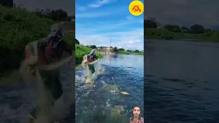 এতো মাছ আগে কখনো দেখেনি 😱👌 #shortvideo #facts #fishing