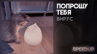 Вирус - попрошу тебя [speed up]