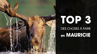 Parc de la Mauricie : TOP 3 des choses à faire selon Authentik Canada